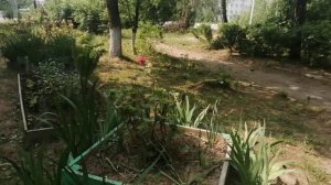 05-06-2025 четверг. наш дом 21. в 2 этаж респект