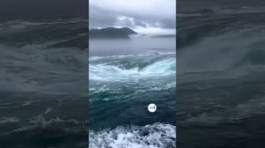 Водоворот
