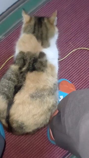 У меня есть две работы смотреть онлайн