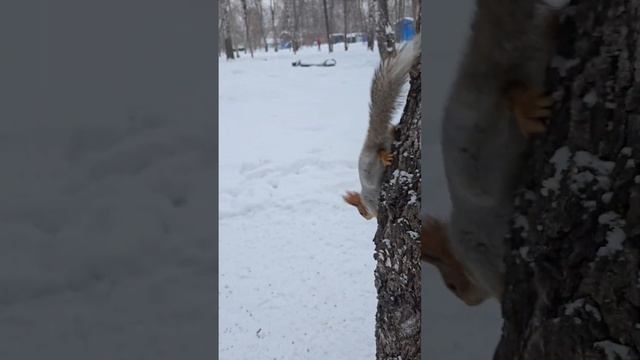 Красоточка продолжает есть, пришёл Пятнышко, у этой бе смотреть онлайн