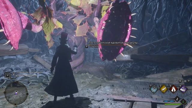 Запретная секция Hogwarts Legacy Серия 3