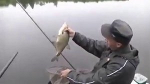 Как ловить на штекерную удочку