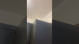 Обзор на вытяжку Weissgauff TEL 600 EB