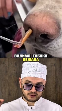 Инородное тело в носовой полости 🐶