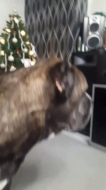 маловато дали граната Графу! смотреть онлайн