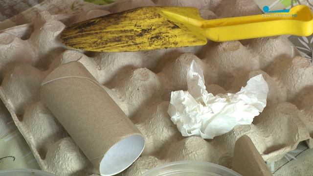 Черви в борьбе за экологию. Зачем петербуржцы устраивают дома вермифермы?