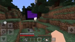 Анонимус спидранит по майнкрафту (моё)