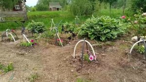 Прогулка по нашему саду)