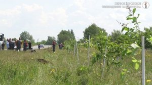 Саяногорские металлурги высадили сирени в честь 25-летия РУСАЛа