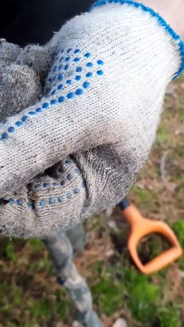 Копаем металл в лесу, нашел первую монету металлоиска смотреть онлайн