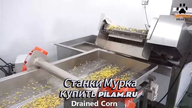 Мурка Машина для мытья нарезанных листовых овощей FX XWA
