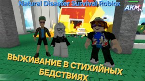 ВЫЖИВАНИЕ В СТИХИЙНЫХ БЕДСТВИЯХ РОБЛОКС Natural Disaster Survival Roblox A.K.M.Games