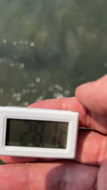 Погода, море и температура воды 7 февраля 2025. Паттайя, Т смотреть онлайн