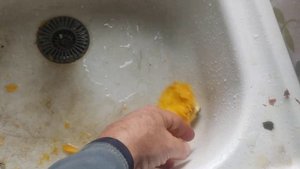 Манго, что внутри?? Косточка манго, а что там в ней???