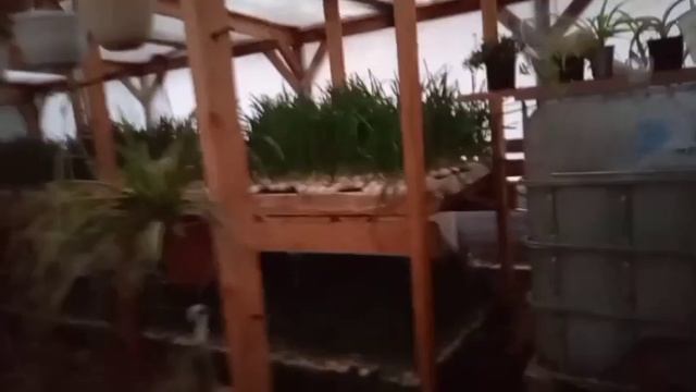 ОБЗОР ТЕПЛИЦЫ 24×8М смотреть онлайн