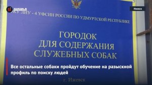 Восемь щенков поступили на службу в учреждения УФСИН России по Удмуртии