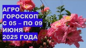 Что обязательно сделать в огороде в июне 2025: главные работы месяца