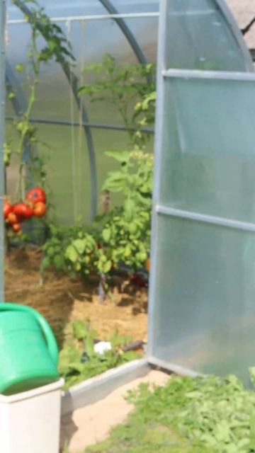 А у Вас сон тоже беспокойный? смотреть онлайн