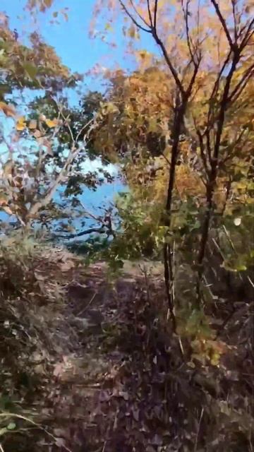 Приморский край - всегда есть на что посмотреть 🤠 #shorts смотреть онлайн