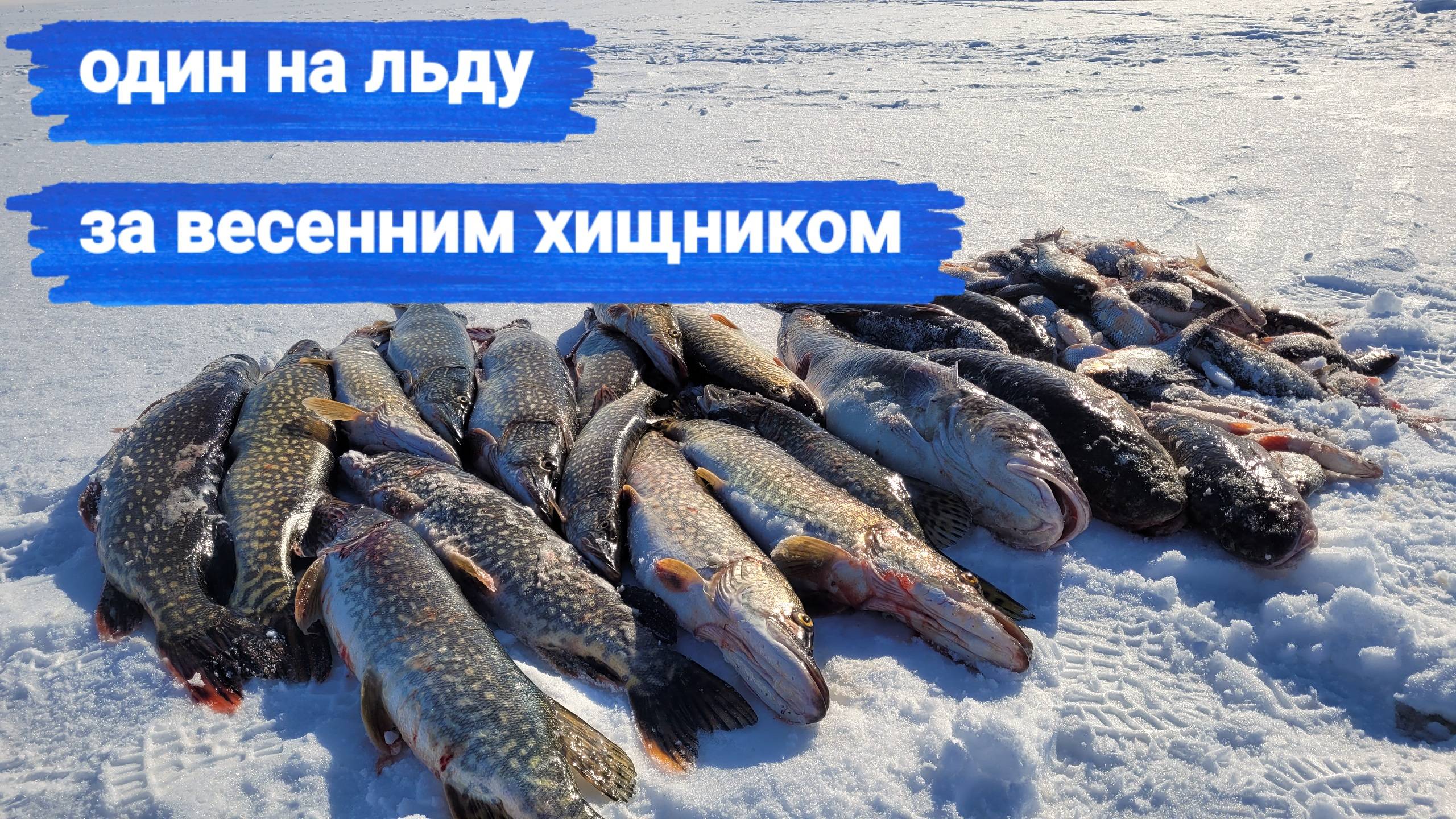 Народный проект. Сутки на льду. Рыбалка с ночёвкой весной на реке Печора