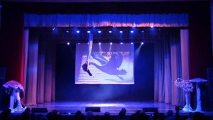 "Черный лебедь" воздушная гимнастка на полотнах