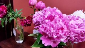 Выставка пионов  в Минске Пионовый фест 2024  1 часть 🌟?