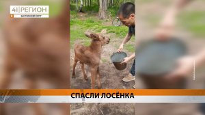 Новости Камчатки за 05 июня 2025 года