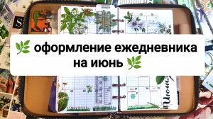 🌿 оформление ежедневника на июнь 🌿