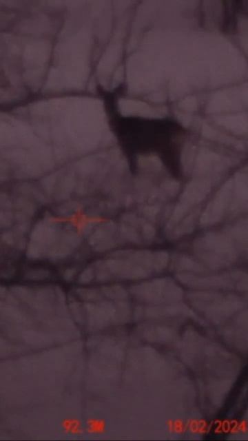 Работа лазерного дальномера ночью в электронном бино? смотреть онлайн