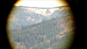 Zeiss NVA DF 7x40 | East German Army Binoculars | Fernglas Dienstglas | бинокль