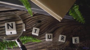 Это видео - как сон, в который хочется верить! - Unknown Artist -- Taylor Poe -- Quiet Sound of Disa