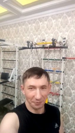 Детский спорт комплекс Лира и шведская стенка Атлет ЛЮКС