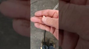 elitech wm 200 syn эпизод 13