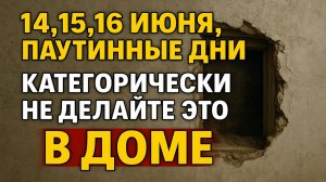 14, 15, 16 июня, паутинные дни. Что нельзя делать. Народные приметы традиции. Ритуалы обряды сегодня