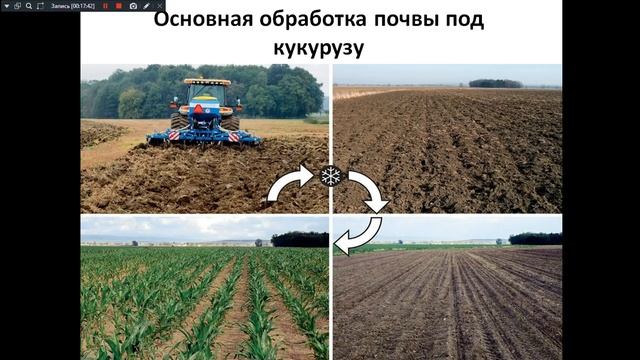 Растениеводство Возделывание кукурузы 261гр 07 03 19 262гр смотреть онлайн