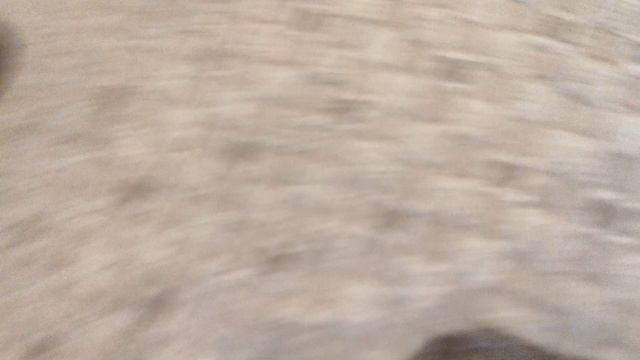 у скелет есть братья смотреть онлайн