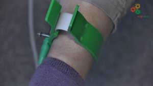 Физиология человека. Электрокардиограмма (М. Ловать)