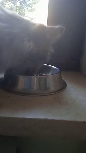 Если хочешь быть здоров ешь гарбушу или плов. смотреть онлайн