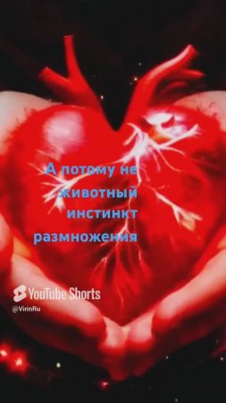 Надо еще смотреть и видеть #music #love #cute #милота (1)