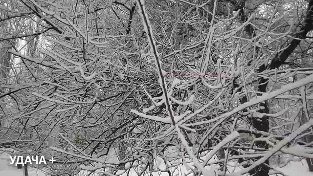 20 февраля День Луки . Что нельзя делать 20 февраля . Наро смотреть онлайн