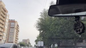 А вы пристегиваете собаку в машине?