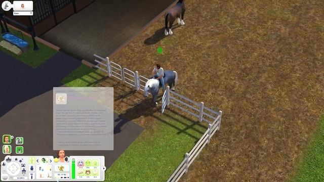 TS3/Аппалуза Плейнс # 6 Ревность и ее последствия смотреть онлайн