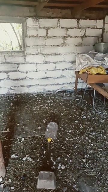 будем чистить сарай смотреть онлайн