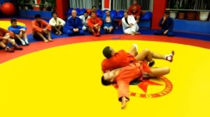 Броски с переходом на болевые приёмы | Самбо