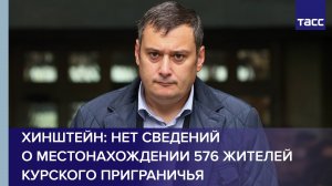 Хинштейн: нет сведений о местонахождении 576 жителей курского приграничья