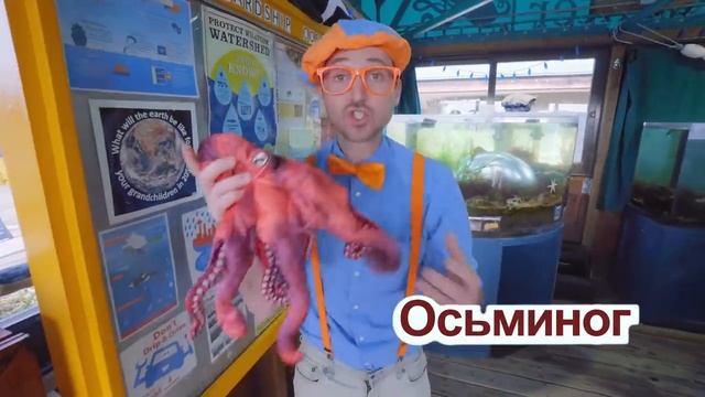 Блиппи (Blippi) - Фургончик с мороженым   Обучающие видео для детей   Blippi Russian