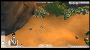 Sims 4 ЧЕЛЛЕНДЖ: ГАРЕМ #1 | НАЧАЛО