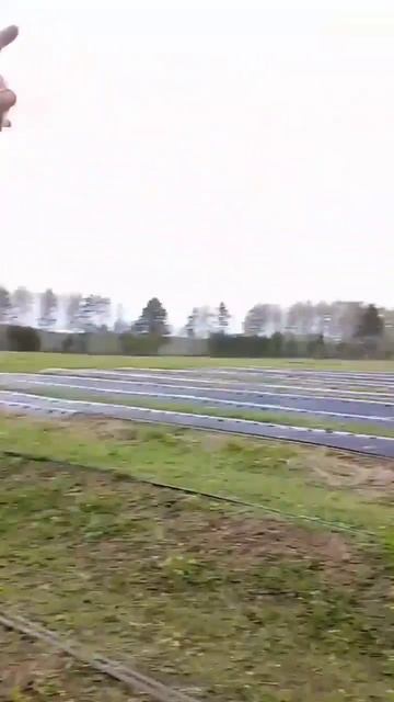 Бородатая Белоснежка или как меня ворон покормил #дер? смотреть онлайн