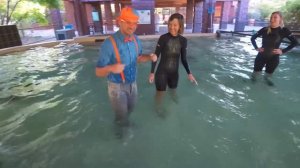 Блиппи (Blippi) - Катаемся на Велосипеде с Блиппи   Изучай этот мир вместе с Блиппи   Blippi Russian