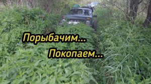 Порыбачил..Покопали..Цена продолжает падать.